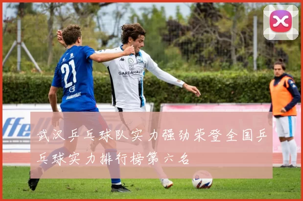 武汉乒乓球队实力强劲荣登全国乒乓球实力排行榜第六名