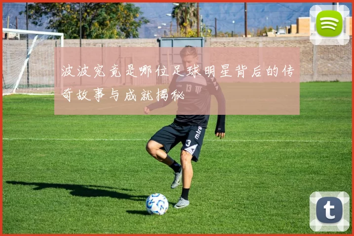 波波究竟是哪位足球明星背后的传奇故事与成就揭秘