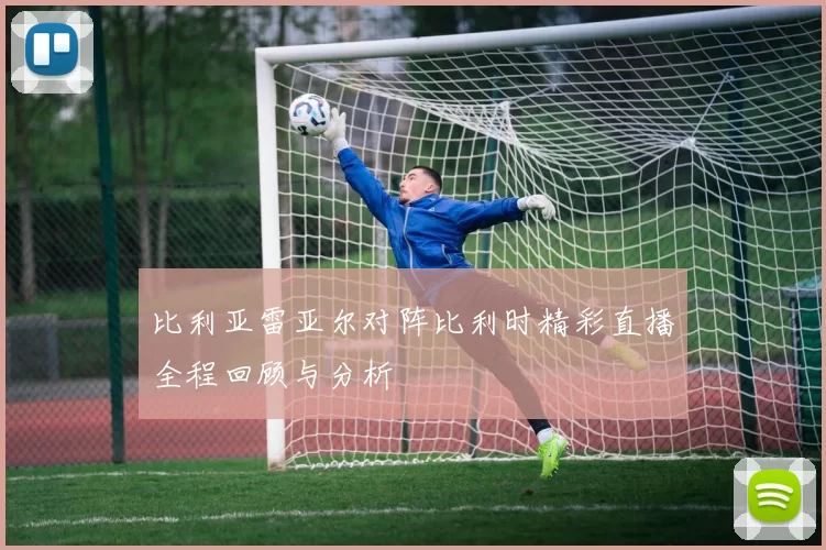 比利亚雷亚尔对阵比利时精彩直播全程回顾与分析