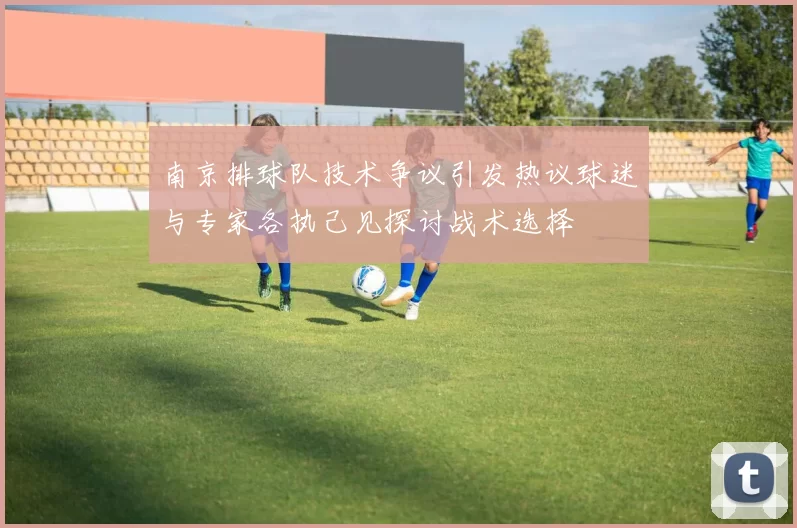 南京排球队技术争议引发热议球迷与专家各执己见探讨战术选择