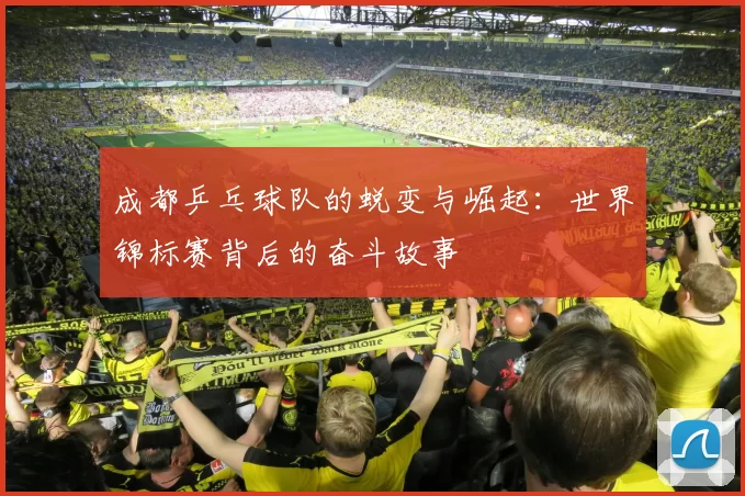 成都乒乓球队的蜕变与崛起：世界锦标赛背后的奋斗故事