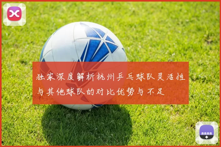 独家深度解析杭州乒乓球队灵活性与其他球队的对比优势与不足