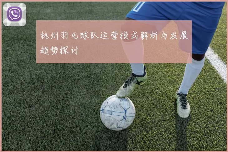 杭州羽毛球队运营模式解析与发展趋势探讨