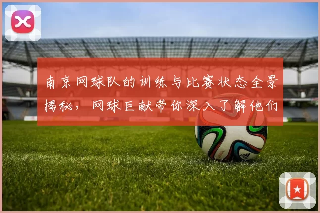 南京网球队的训练与比赛状态全景揭秘，网球巨献带你深入了解他们的奋斗历程