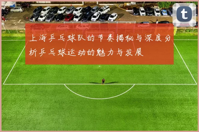 上海乒乓球队的节奏揭秘与深度分析乒乓球运动的魅力与发展