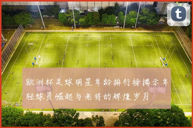 欧洲杯足球明星年龄排行榜揭示年轻球员崛起与老将的辉煌岁月
